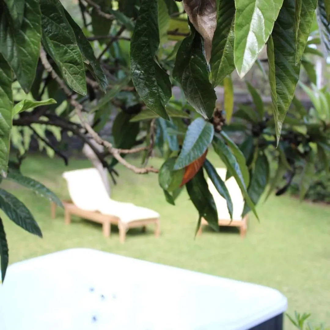 Etna Rose Guest House Zafferana Etnea 0*,