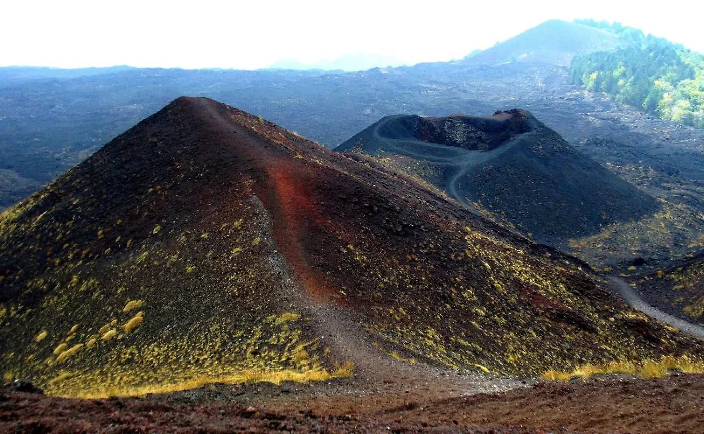 Etna Rose Guest House Zafferana Etnea Country house