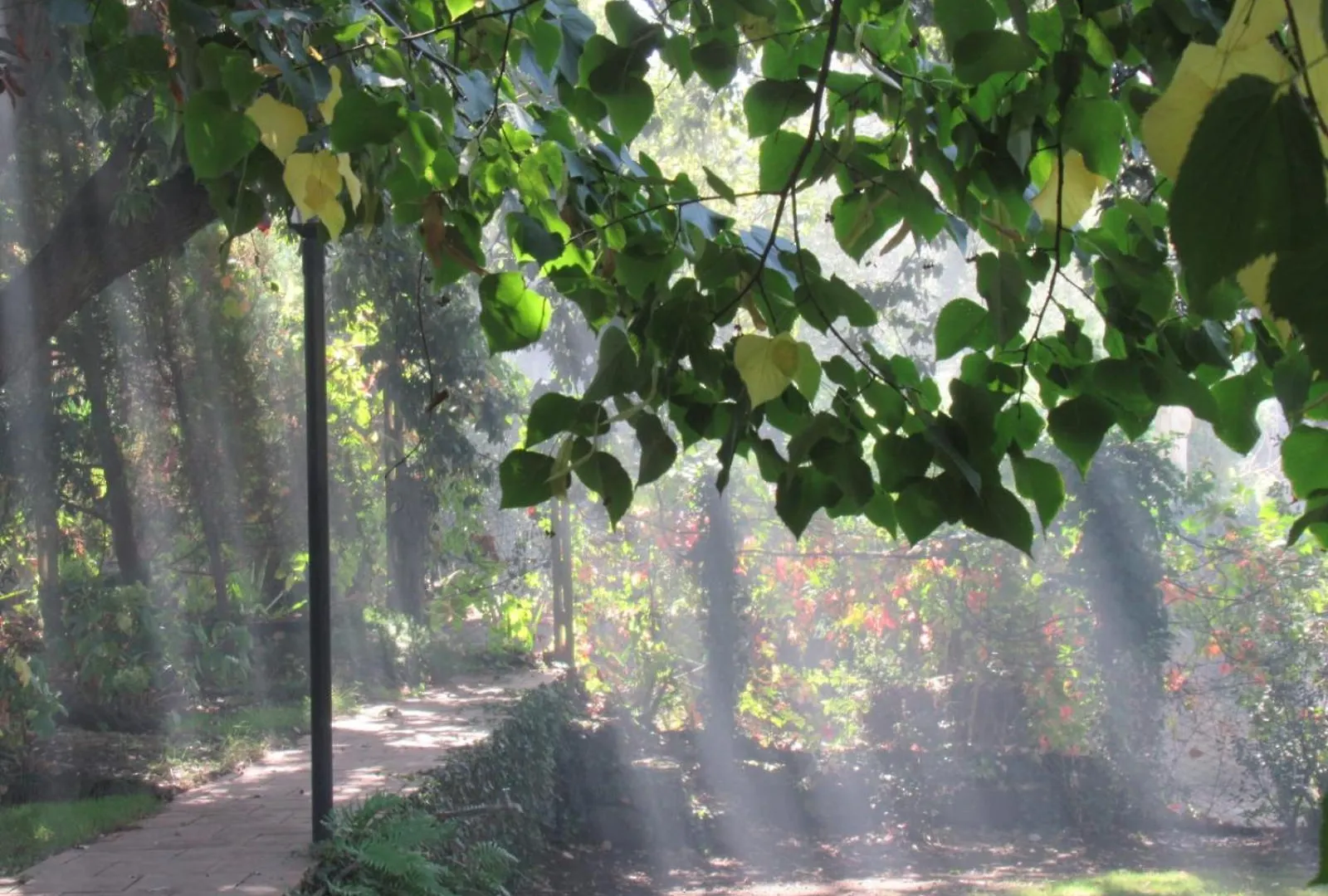 Country house Etna Rose Guest House Zafferana Etnea